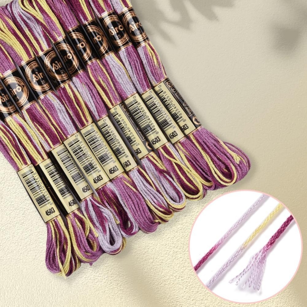 6-strengen paars bonte borduur - Embroidery Diy recensie en prijs